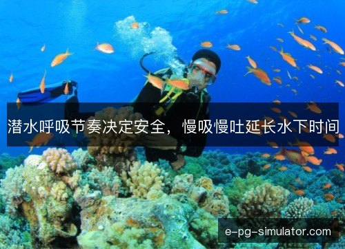 潜水呼吸节奏决定安全,慢吸慢吐延长水下时间 潜水呼吸节奏决定安全,慢吸慢吐延长水下时间